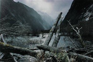 Image description is not available for 2013.094